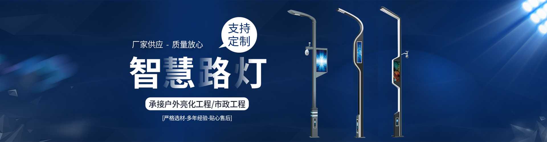 泸水市太阳能路灯定制厂家