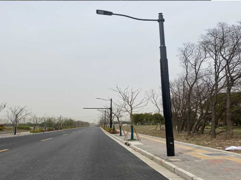 泸水市上海综合杆 太阳能路灯工程